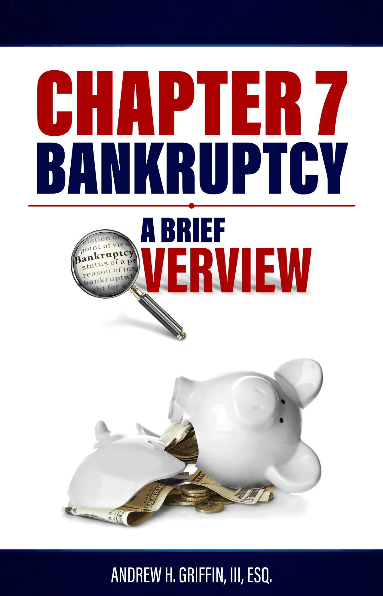 Chapter 7 Bankruptcy Overview Snippet 